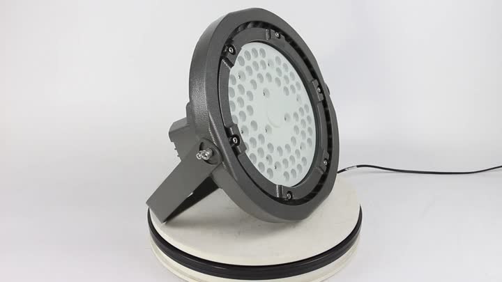 Explosion proof light-8239-100W