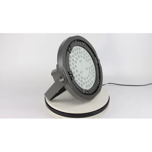 Explosion proof light-8239-100W