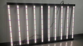 10 bar cresce luz com UV IR