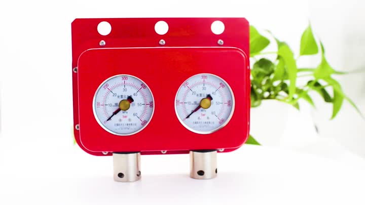 Double needle pressure gauge