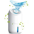 900ml Electric Dehumidifier 120V-220V Mini Home Use with LED Light1