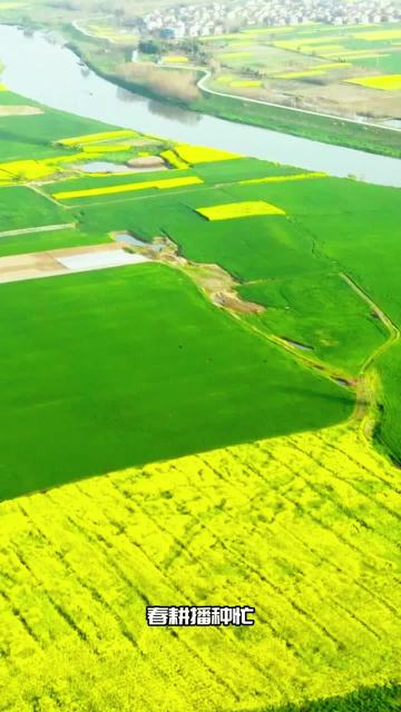 Zhongcai Agricultural Irrigation System (Market Version)