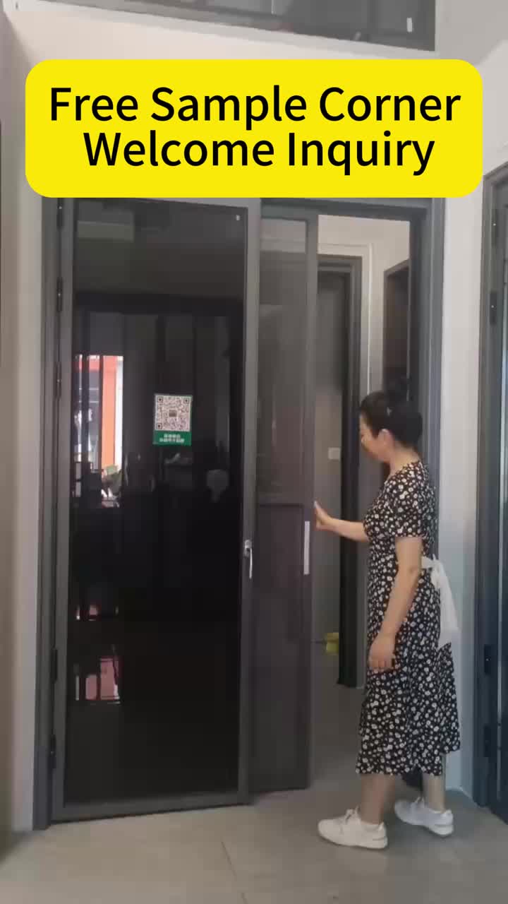 PT door with screen
