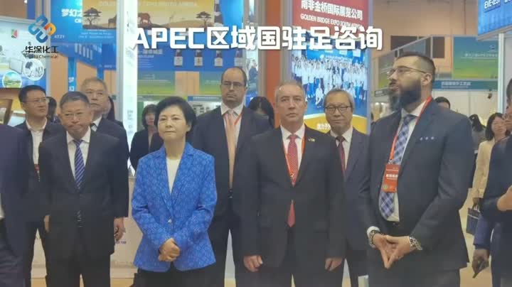 Países regionais da APEC param para consulta