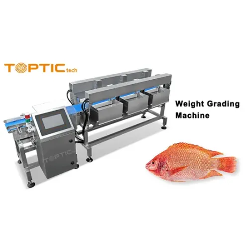 Customized Weight Grading Machine Sorting Machinery Grader Sorter Classifier for Fish Shrimp Lobster Seafood with Mettler Toledo Load Cell and Good price1