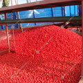 Turnkey Project: Tomato Paste and Sauce Production Line1