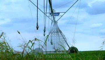 Smart Center Pivot Sprinkler Enhancing Crop Productivity