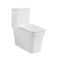 Luxury Hygiene Large Stock Square One Piece Washdown Siphonic WC Installations1