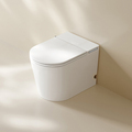 S026 New Arrival Intelligent Smart Toilet - Modern Bathroom Intelligence1