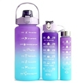 Customized Gradient Color Leak-Proof Sports Water Bottle Set with Stickers (2000ml, 900ml, 500ml)1