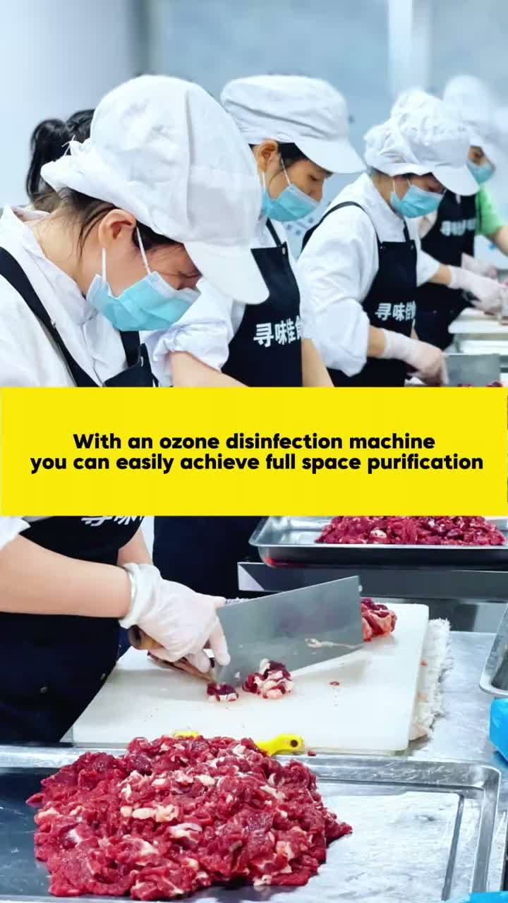 খাদ্য সুবিধার জন্য FL-N ওজোন জেনারেটর বায়ু এবং পৃষ্ঠ নির্বীজন