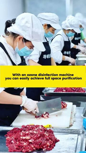 FL-N Ozone Generator Air And Surface Sterilization for Food Facilities