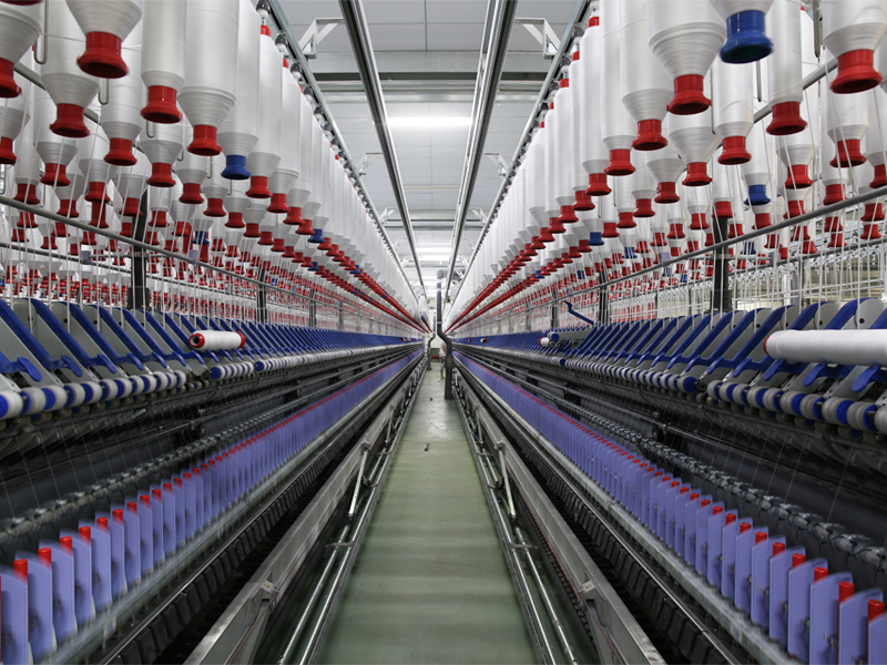 Jiangxi Zhisheng Technology Co., Ltd