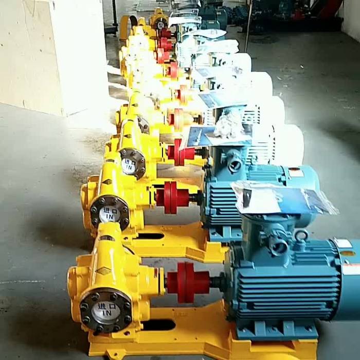 Stainless steel gear pump food safety pump pressure pump1