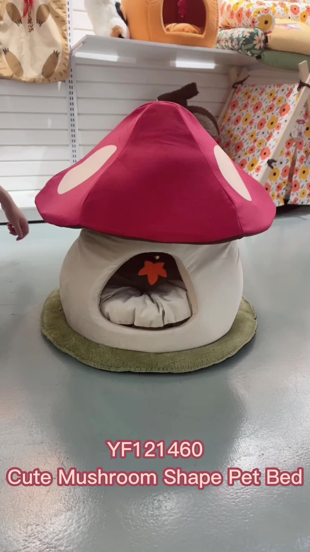 Wholesale Mushroom Puppy Pet Cave House Popular Removable Mat Little Dog Cat Cave Bed House A1