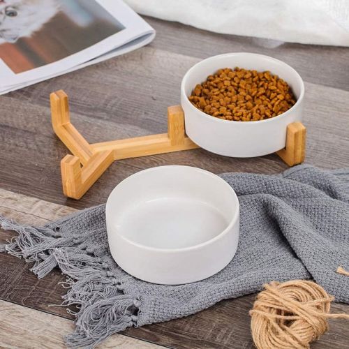 Stylish ceramic pet bowls for indoor cat feeding routines