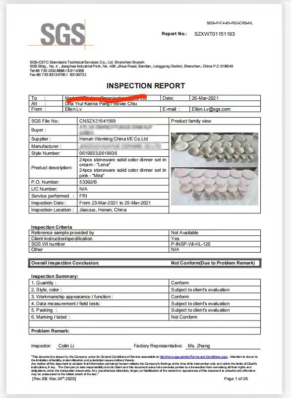 SGS Test Report