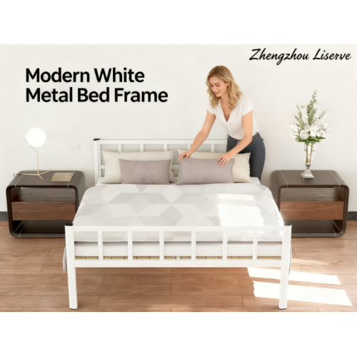 50 Yıllık Miras Küresel Hedefle Buluşuyor: Zhengzhou Liserve, Yenilik ve Küresel Erişimle Eğitim Ekipmanı Ticaretini Dönüştürüyor