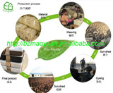 Binzhou Evergreen Import & Export Co.,ltd.