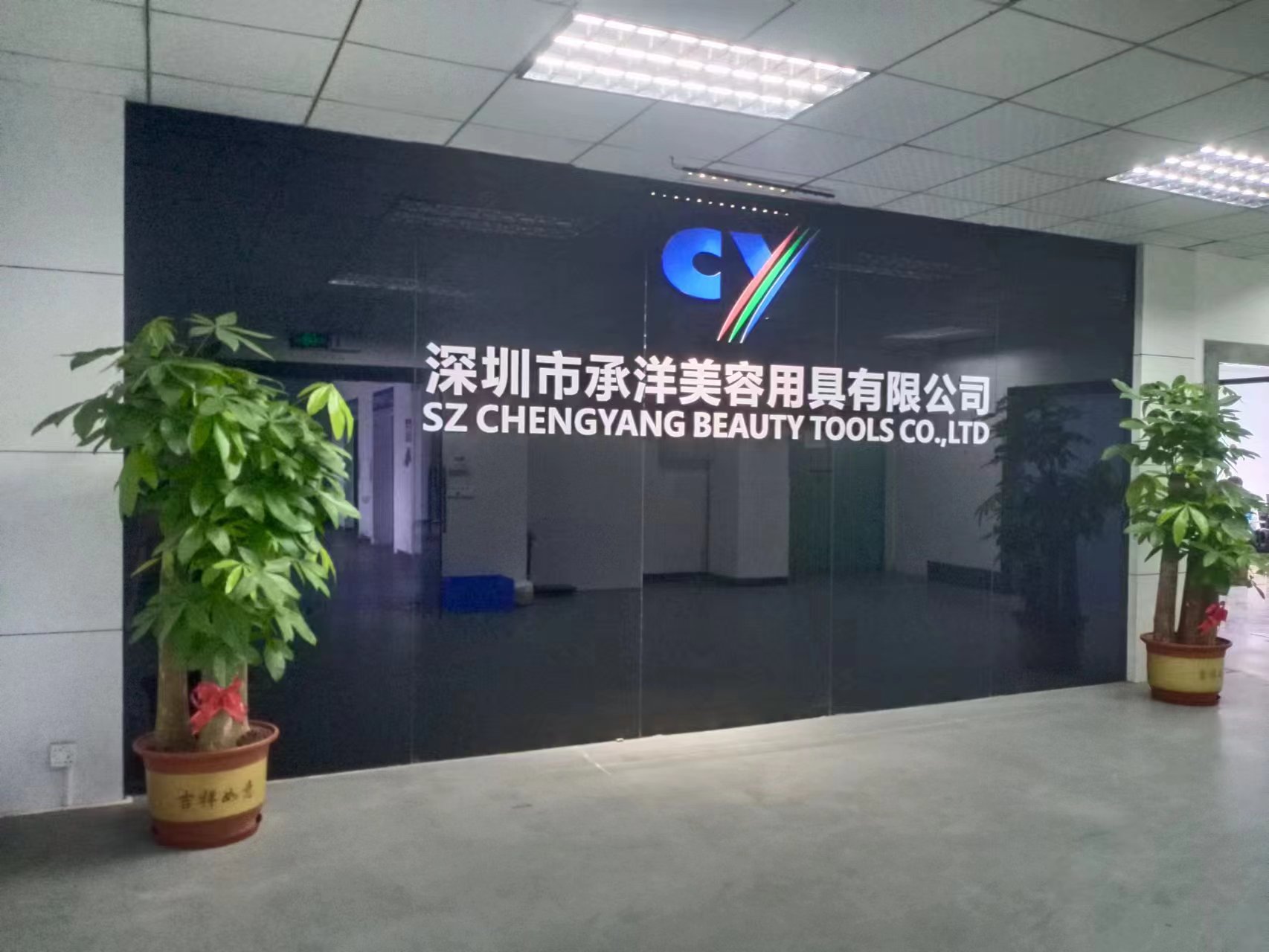 SZ CHENGYANG BEAUTY TOOLS CO.,LTD