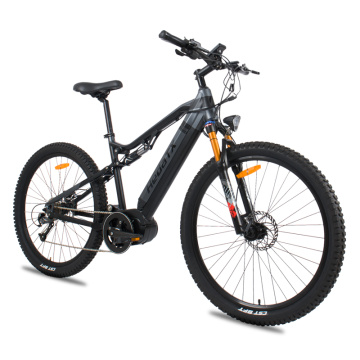 China Top 10 Electric Mountain Bike Full Suspension Brands