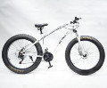 26 Inch Fat Tire Aluminum Alloy Hidden Battery Snow E-Bike1