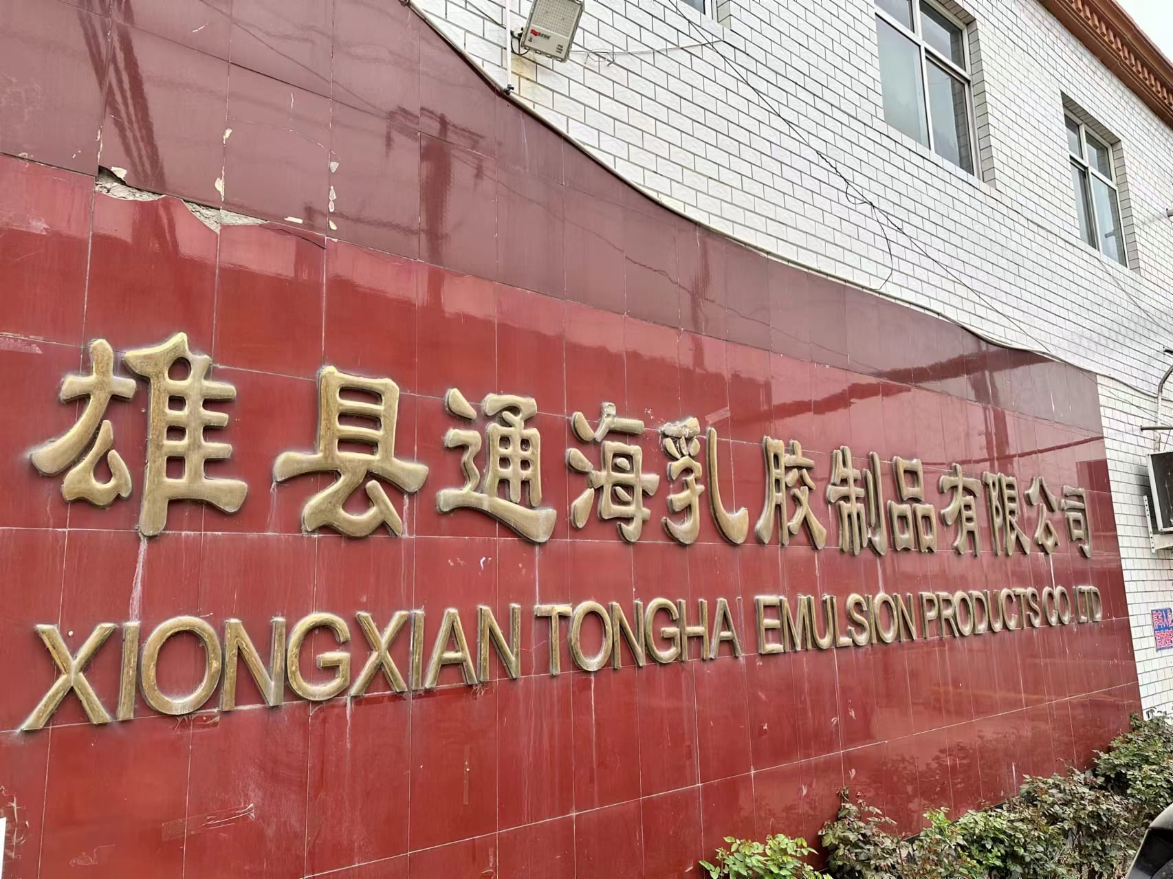 Xiongxian Tonghai Latex Products Co., Ltd