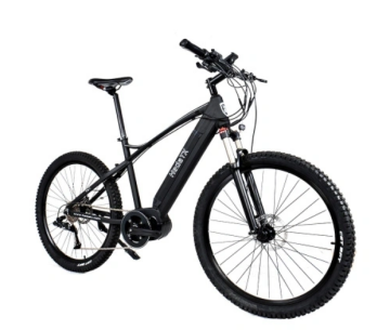 Wie kaufe ich ein elektrisches Mountainbike? (2)