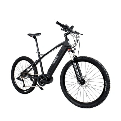 How to buy a electric mountain bike? (2)