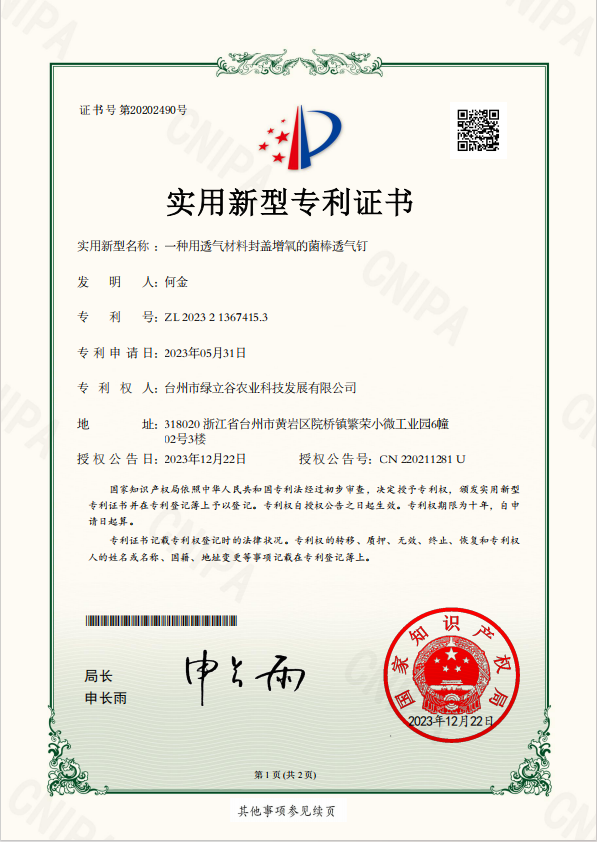 Utility Model Patent Certificate