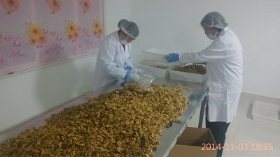Weifang Dingli Food Co. Ltd.