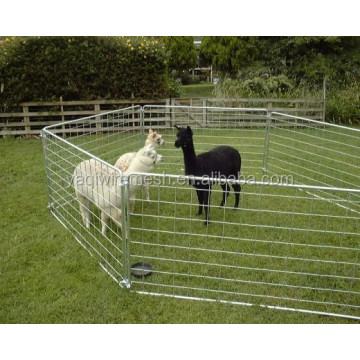 List of Top 10 Galvanized Fencing Brands Popular in European and American Countries