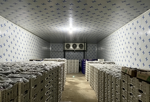 Yunnan YueTu Algriculture Development Limited Company