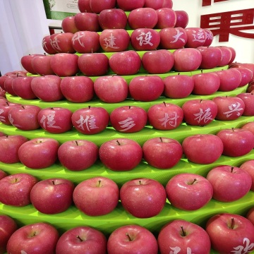 The Sales Volume and Trend for Fresh Apples