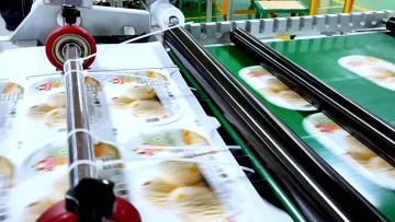 Die Cutting Machine
