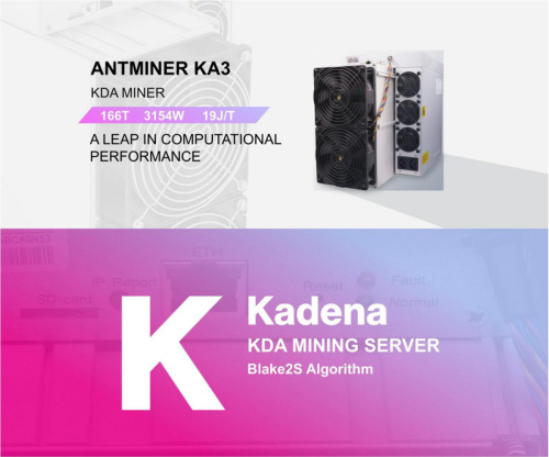 Bitmain startet den Antminer Ka3 und eröffnet das Vorverkauf-Into Kadena-Ökosystem mit Hashrate Performance