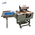 Egg Breaker and Separator Machines for Liquid Egg Production Line1