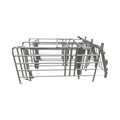 Search Engine for Cerdo Equipo Farming: Sow Management Using Gestation Crates1