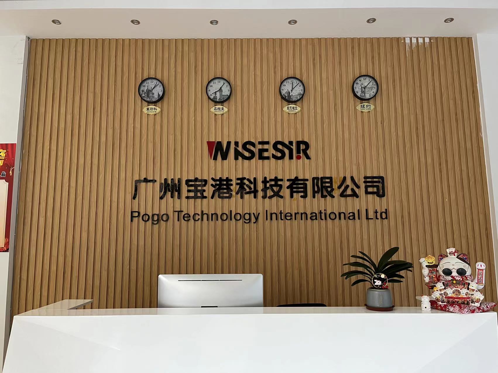 Personalización del logotipo de Wisesir