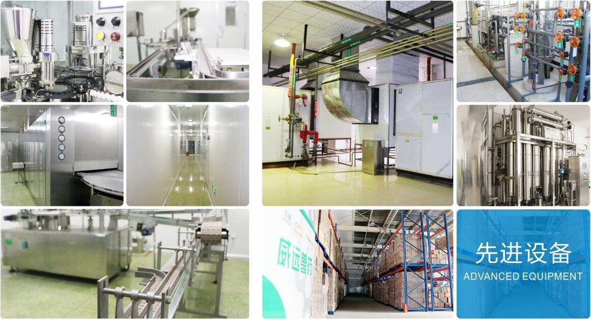 Hebei Veyong Animal Pharmaceutical Co.,Ltd