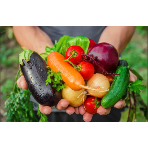 Regulamentos de questões da UE que rejeitam a aprovação de reivindicações de saúde alimentar e regulamentos relacionados ao desenvolvimento e saúde das crianças