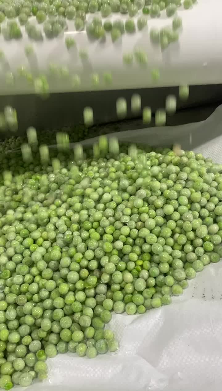 Salida de la línea de producción de PEA IQF