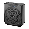 Professional High-Quality Voic Amplifier for Teachers: Portable Tour Guide and Classroom Aids1