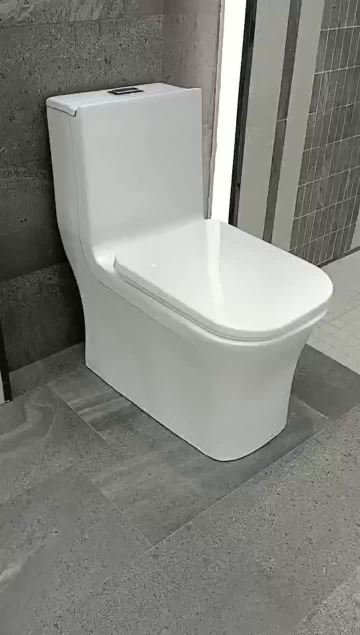 Ceramic Toilet in Bathroom
