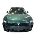 2024 Voyah Free: Redefining Mobility with Innovation and Sustainability for EV Cars1