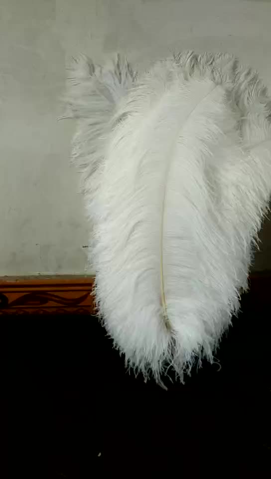 Wholesale Large Size White Ostrich Feather For Festive Clothing Design Decoration1