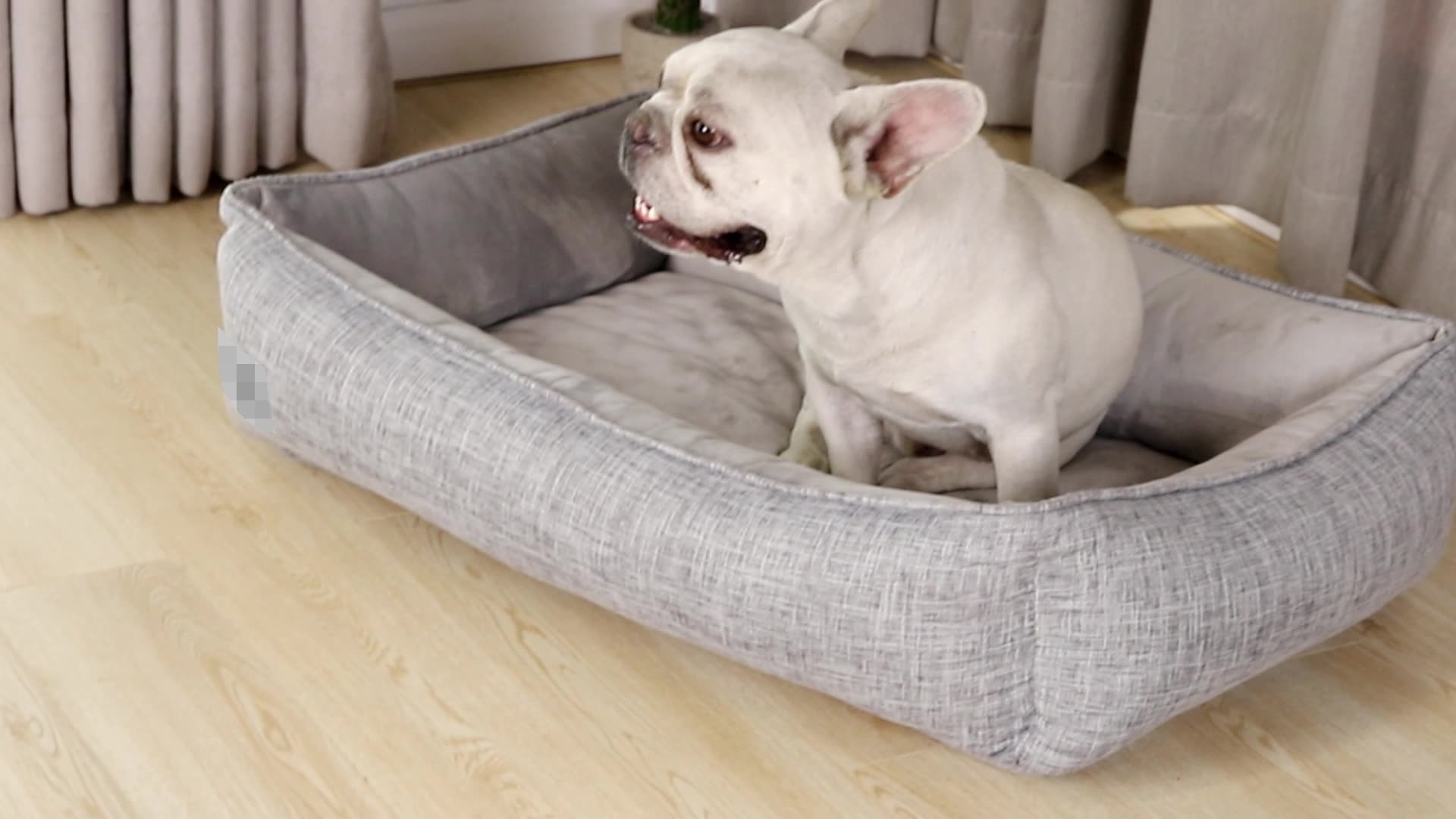 Orthopedic Egg Crate Foam Large Dog Bed1