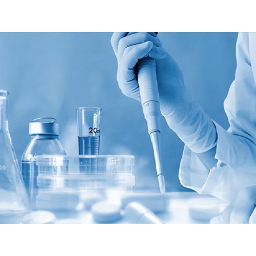 গ্লোবাল ক্লিনিক্যাল মেডিকেল ইকুইপমেন্ট ইন্ডাস্ট্রি: বুদ্ধিমান উদ্ভাবন, নীতি সমর্থন এবং ক্রমবর্ধমান চাহিদা ড্রাইভ স্থিতিশীল বৃদ্ধি