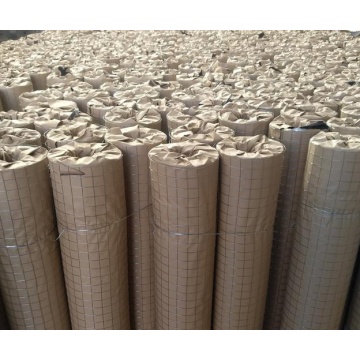 Top 10 Most Popular Chinese Electro Galvanized Welded Wire Mesh Brands