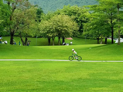 Corta-relvas manuais e ecológicos ganham tração: as inovações geram eficiência e sustentabilidade